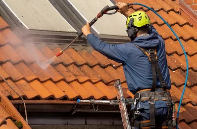 Démoussage et hydrofuge de toiture aux Ferres
